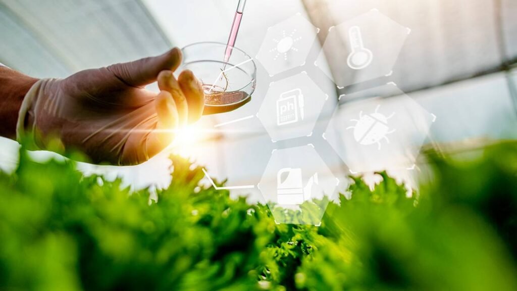 o papel da biotecnologia na agricultura inovac o es e impactos 550292 1152 648 0 0
