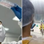 Nada de camundongos: como o maior banco de células do Brasil impulsiona a ciência sem testes em animais