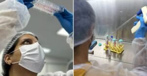 Nada de camundongos: como o maior banco de células do Brasil impulsiona a ciência sem testes em animais