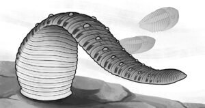 Sanguessugas viviam no mar, não sugavam sangue e são mais velhas do que se pensava – Jornal da USP