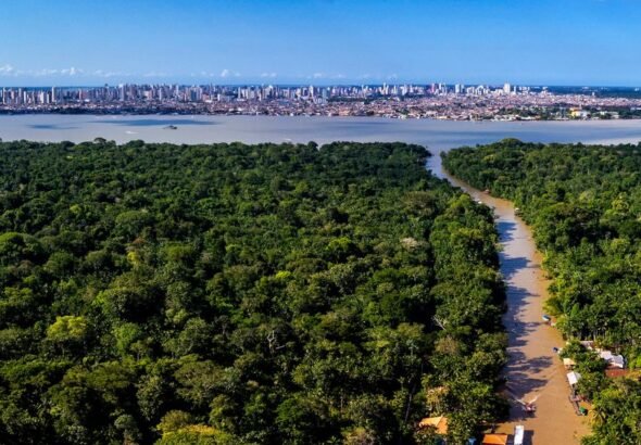 Qual é o resultado da COP30 do Brasil na Amazônia? Especialistas explicam o veredicto em 5 pontos-chave | National Geographic