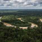 Os 3 alertas climáticos já previstos para o futuro – e que devem estar na COP30 da Amazônia | National Geographic