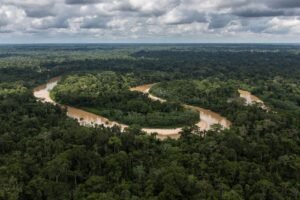 Os 3 alertas climáticos já previstos para o futuro – e que devem estar na COP30 da Amazônia | National Geographic