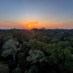 Qual é a origem da Amazônia? Parte da resposta pode estar ligada ao asteróide que matou os dinossauros | National Geographic
