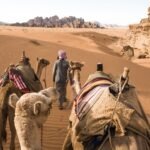 Por que um grau a mais na temperatura é uma catástrofe até para o ecossistema dos desertos | National Geographic