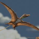 O cérebro dos pterossauros reinventou o voo do zero, revela um fóssil encontrado no Brasil | National Geographic