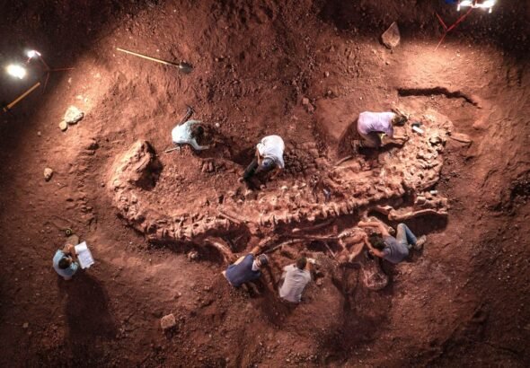 Como os dinossauros morreram? A descoberta de cadáveres de répteis do período Cretáceo pode revelar o mistério | National Geographic