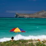 Ir à praia faz bem ao cérebro, segundo a ciência. Há vários benefícios de momentos junto ao mar | National Geographic